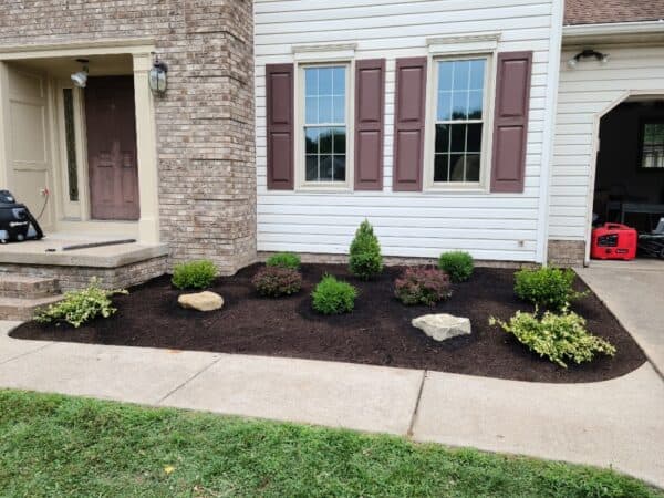 planting and mulching along the front sidewalk