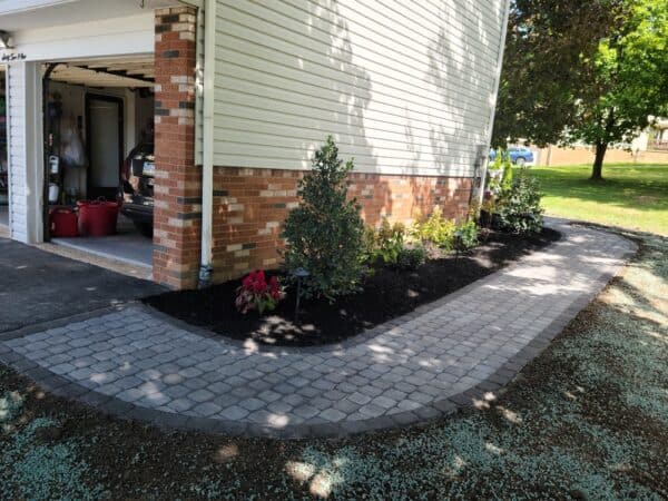 small shrubs planted along the side of the house