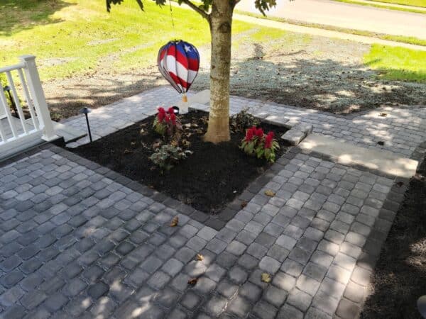 paver area with tree