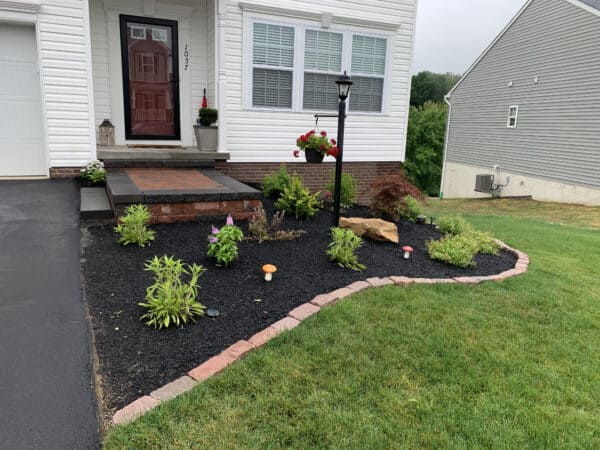landscape bed with mulch small bushes and stone border